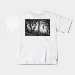 Fog In Scenic Forest At Point Reyes National Seashore Kids T-Shirt